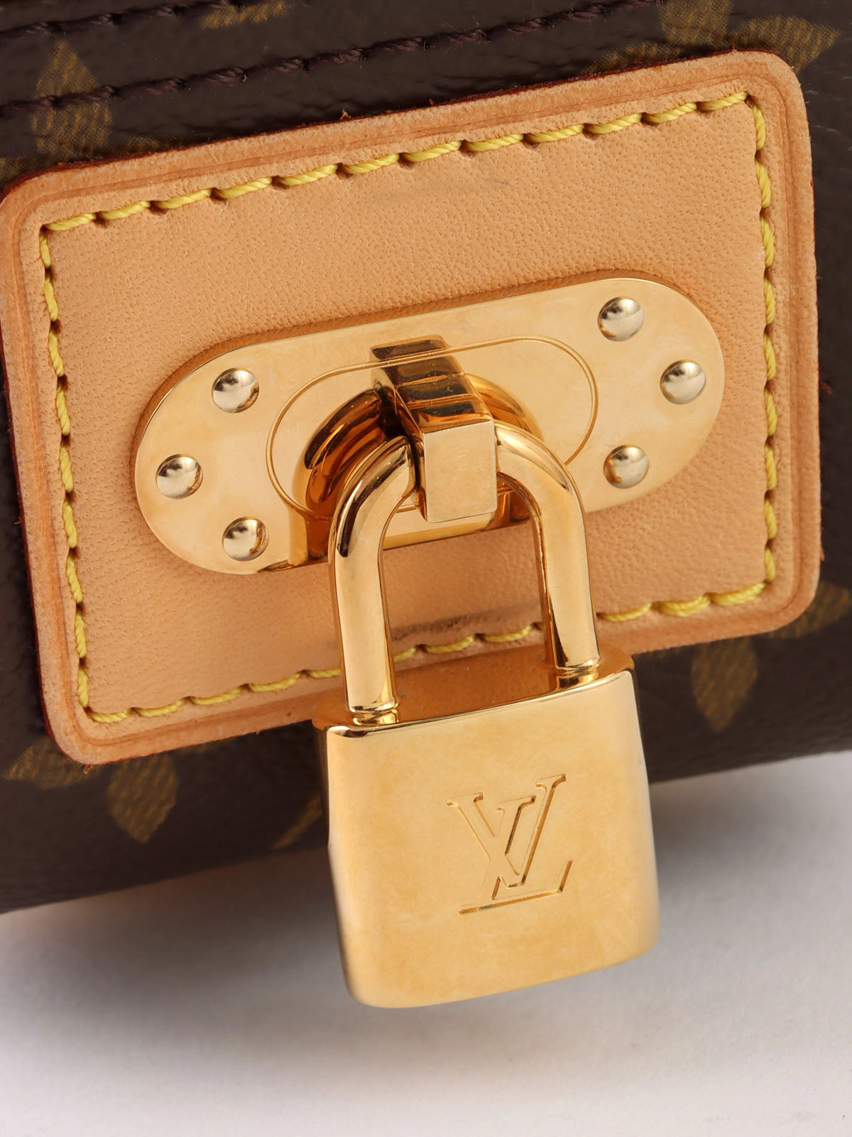 棕色/紫红色帆布 Monogram Performini Trocadero