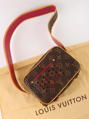 棕色/紫红色帆布 Monogram Performini Trocadero