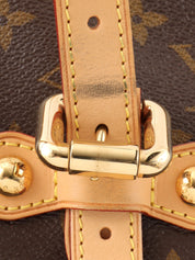 2010 帆布 Monogram Palermo GM 棕色