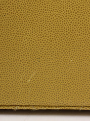 1998 Caviar Skin CC 转锁链条单肩包(青柠黄)
