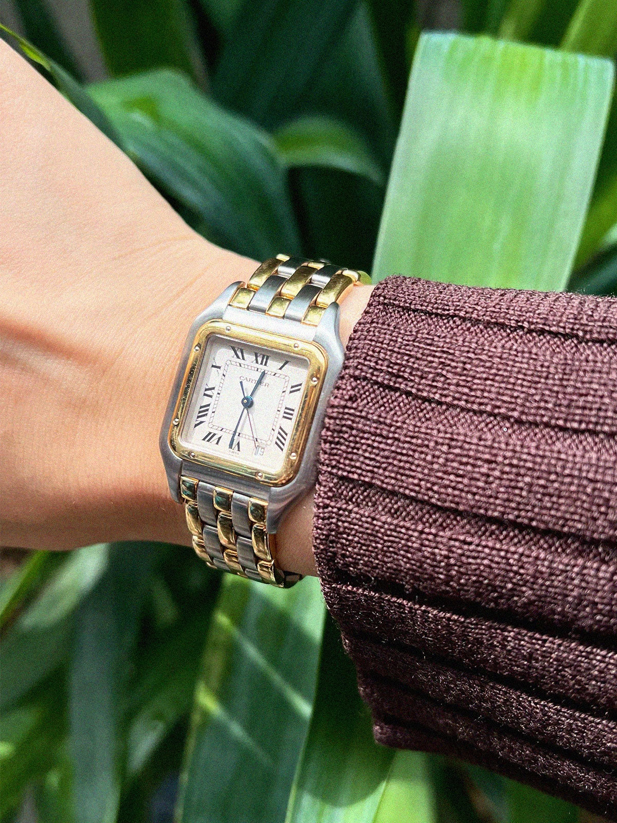 Panthère MM3 Low Silver/Gold
