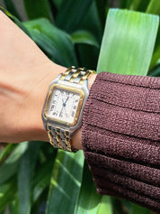 Panthère MM3 Low Silver/Gold
