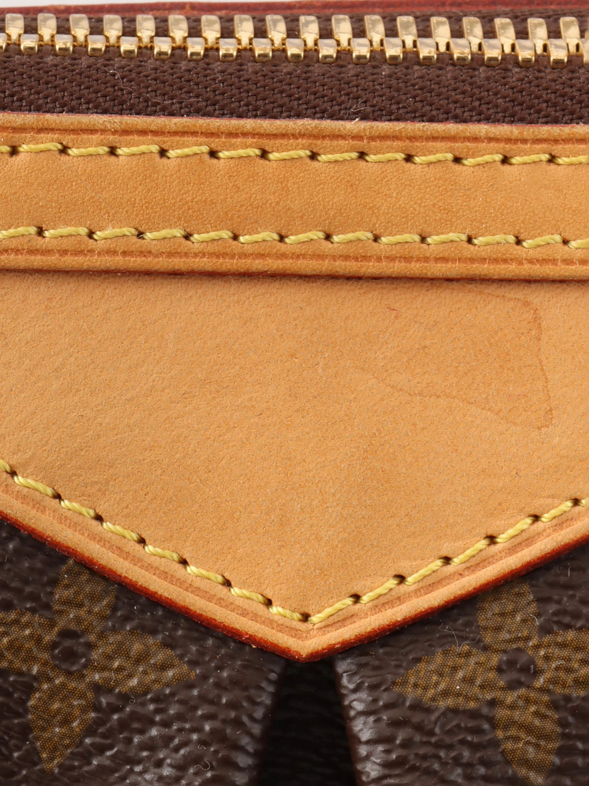 2010 Canvas Monogram Palermo GM Brown