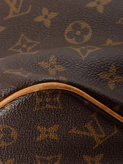 2010 Canvas Monogram Palermo GM Brown