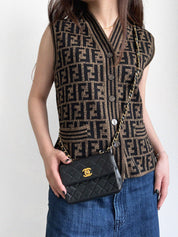 Wool FF Zucca Pattern Knit Vest in Brown/Black