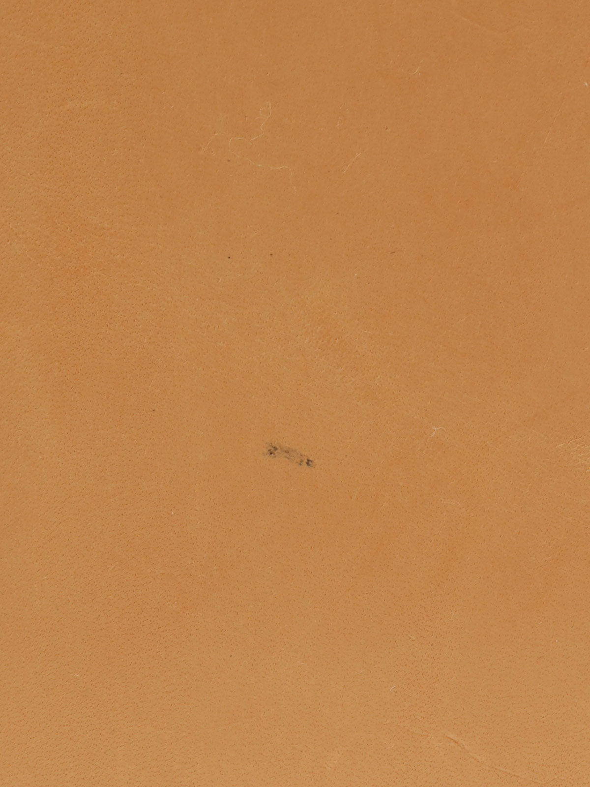 2007 Damien Noe Azur Canvas