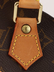 2000 Monogram Ellipse Canvas PM Brown