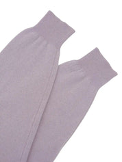 Logo Embroidered Long Sleeve Polo Shirt in Lavender