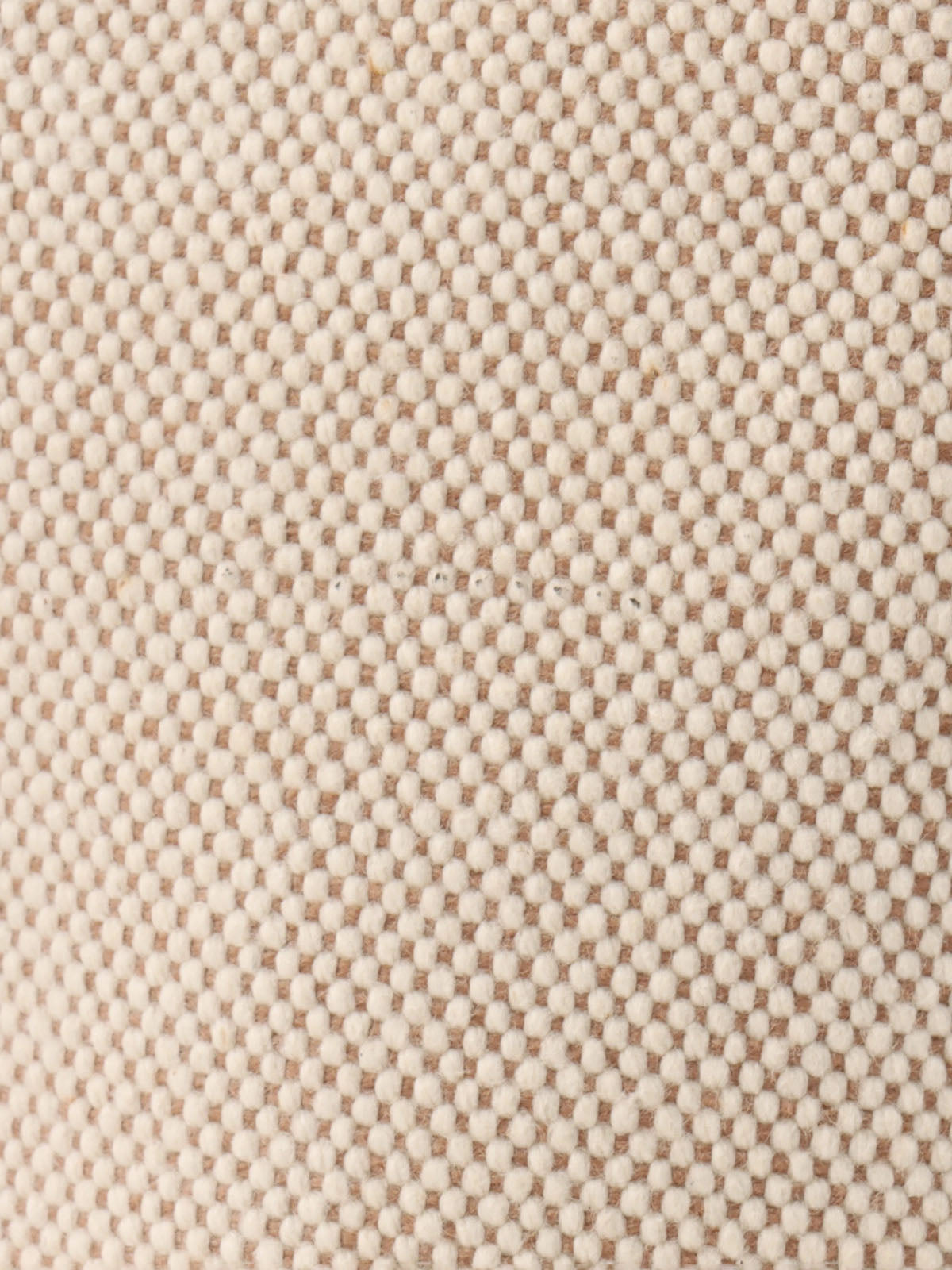 2004 Bolide 31 天然/巧克力