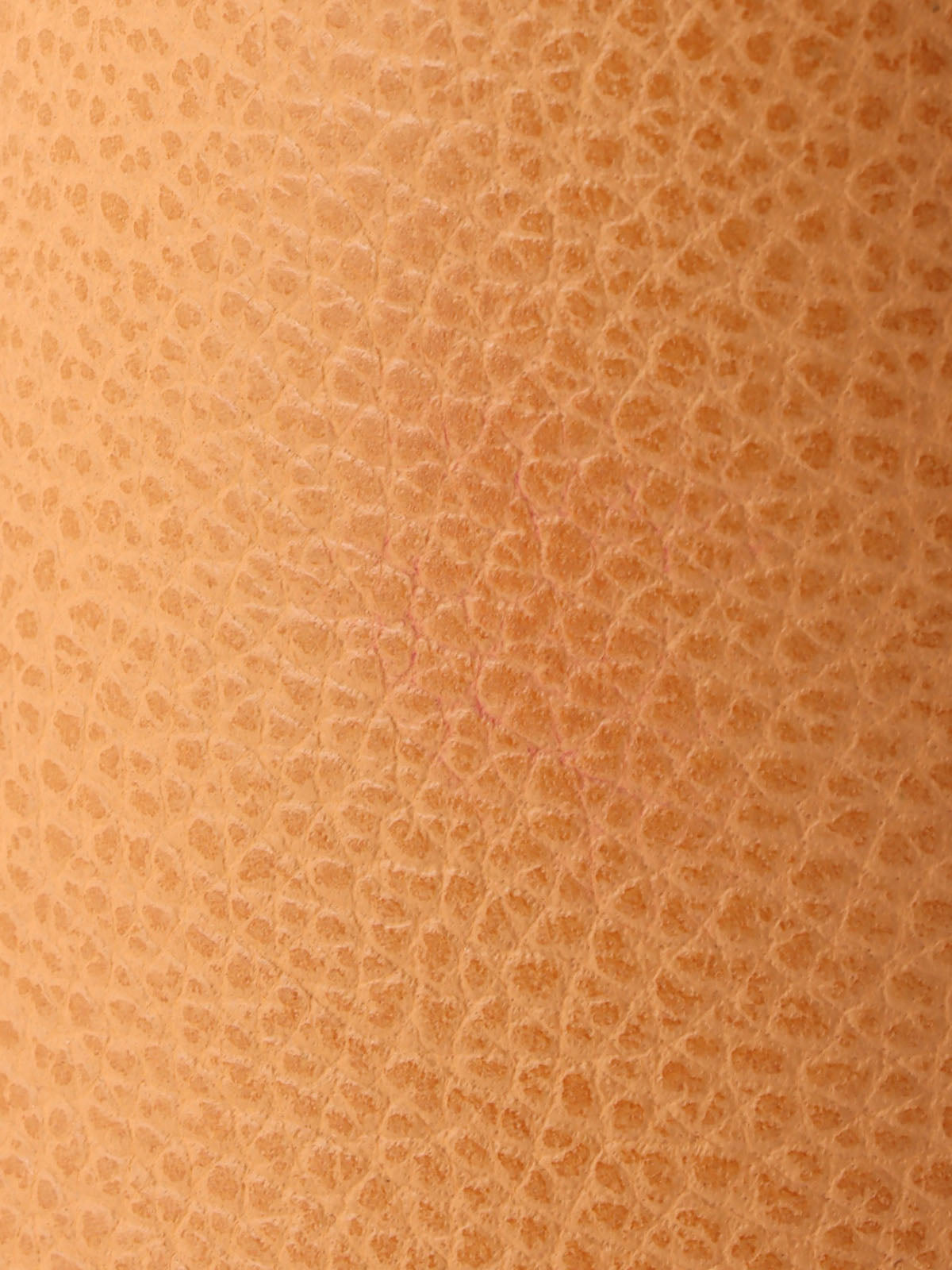 2006年博利德31号天然