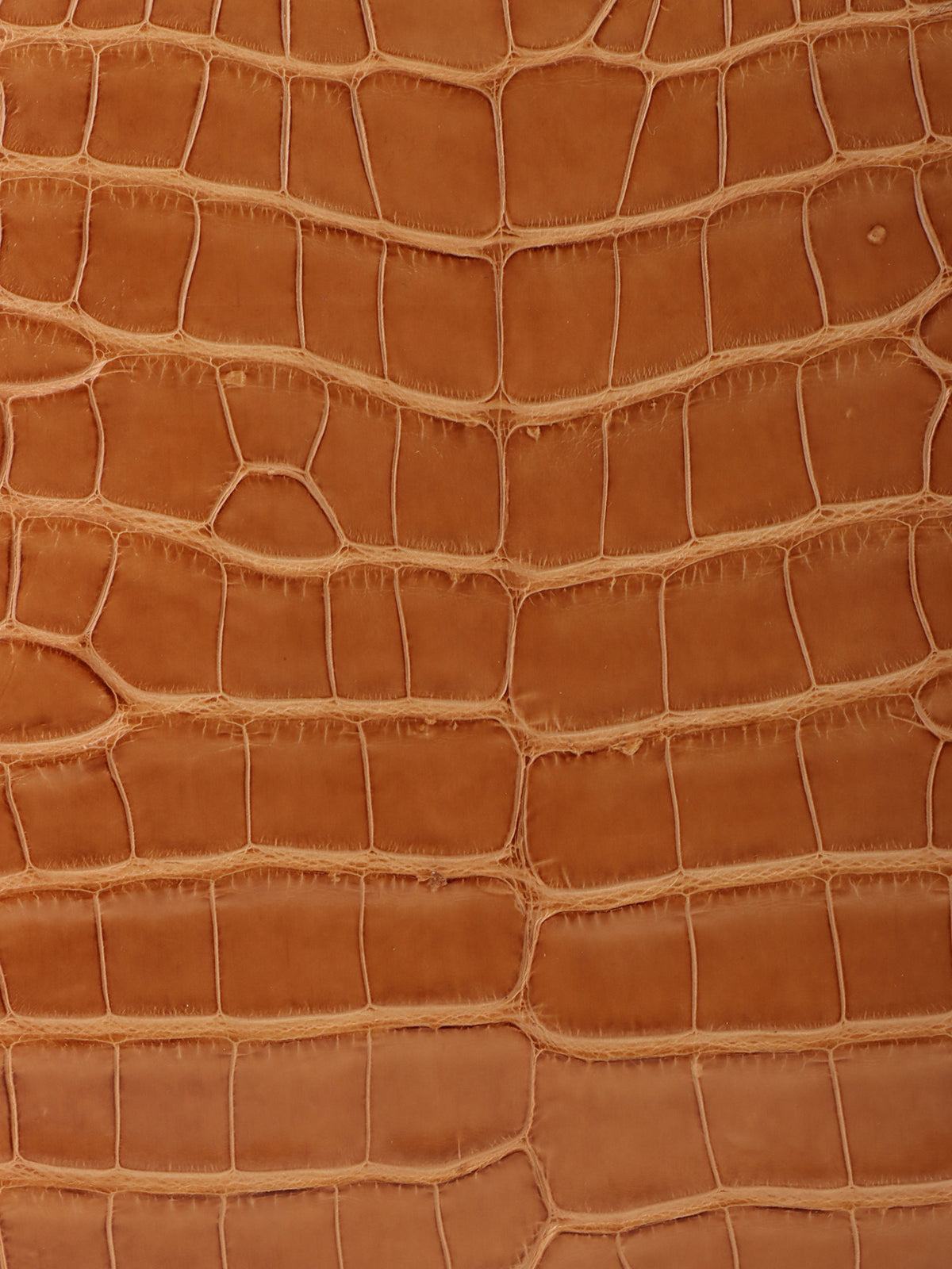 クロコダイルアナグラムアマソナハンドバッグ ブラウン