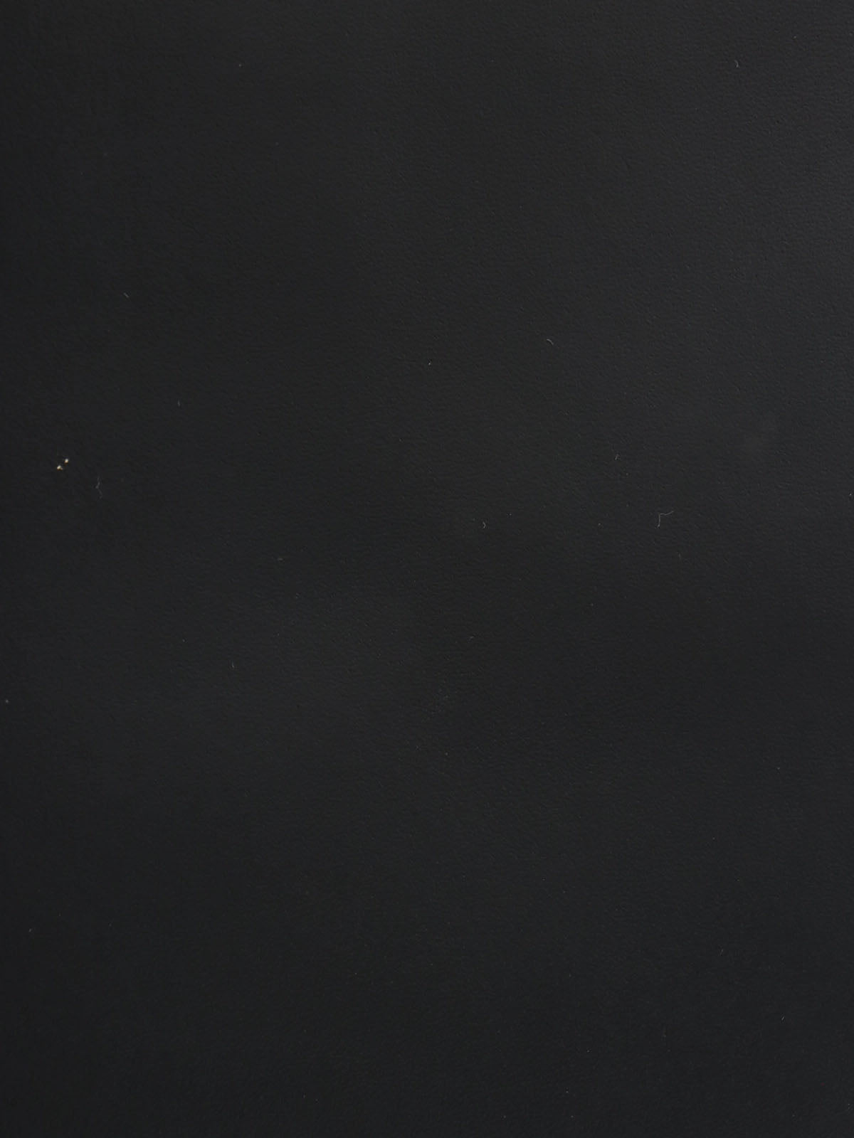 ガンチーニプレート2wayバッグ ブラック