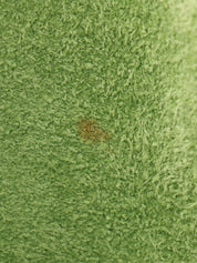 2003年製 ピコタンPM アップルグリーン