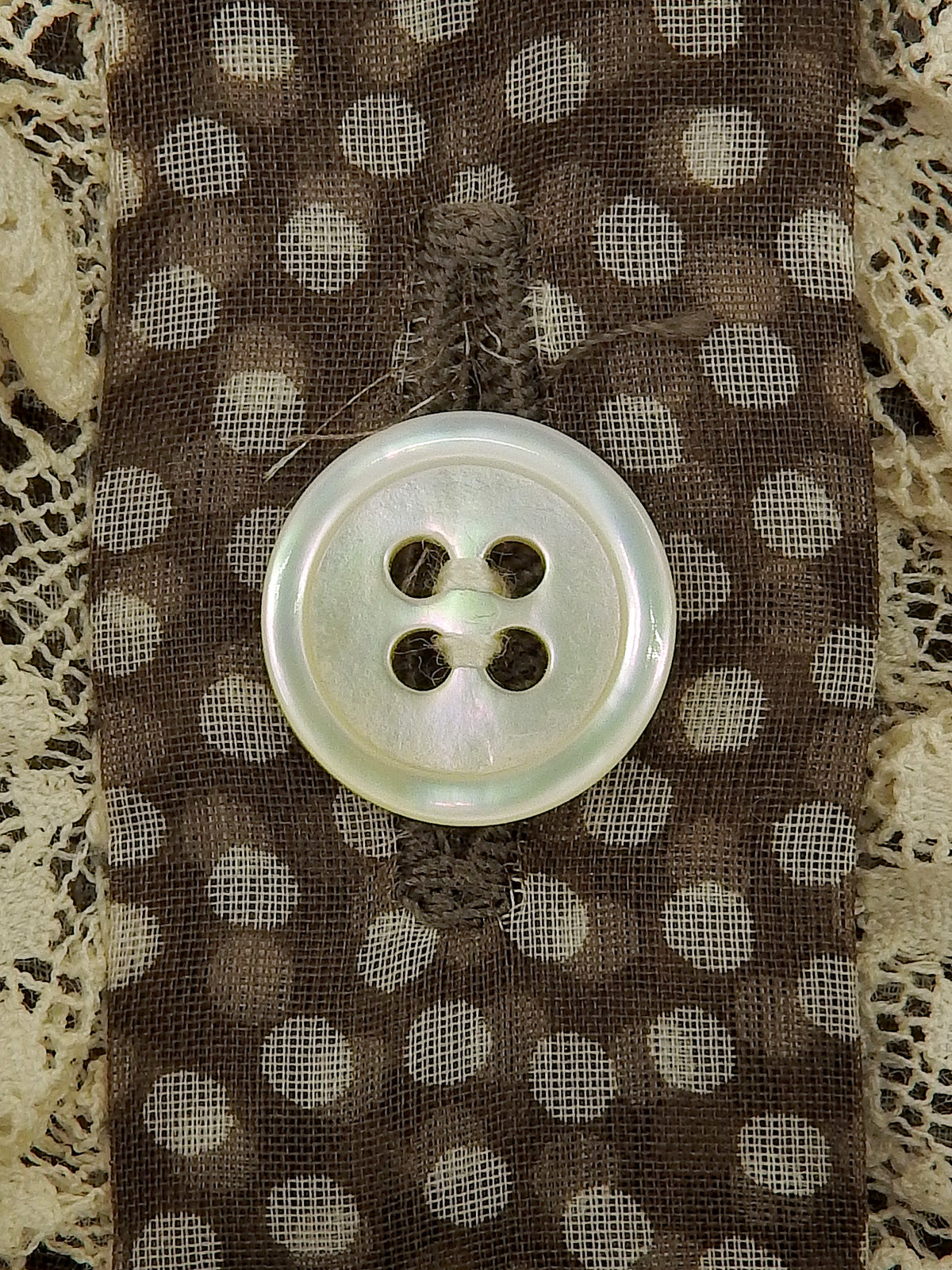 ドットパターンレース半袖トップス ブラウン