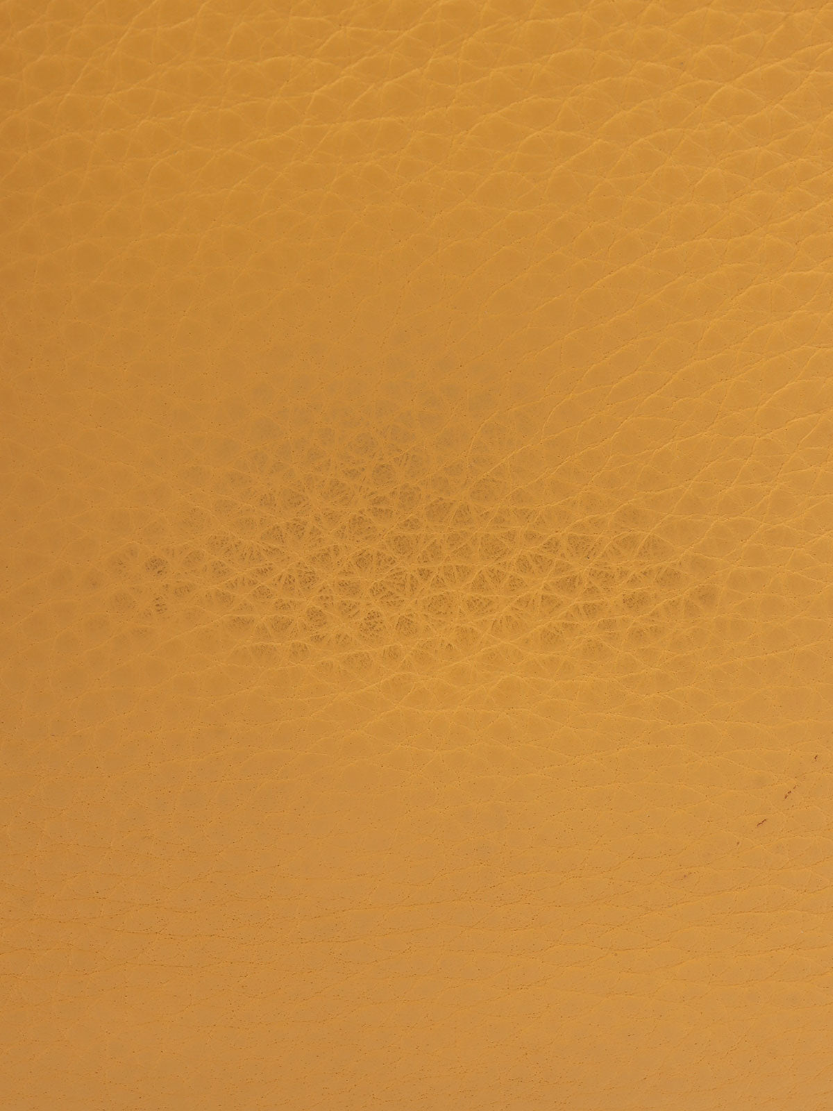 1998 Christine Safran