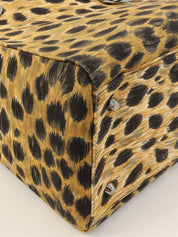 キャンバスレオパードパターンレディディオール2wayバッグ ブラウン/ブラック/クリア