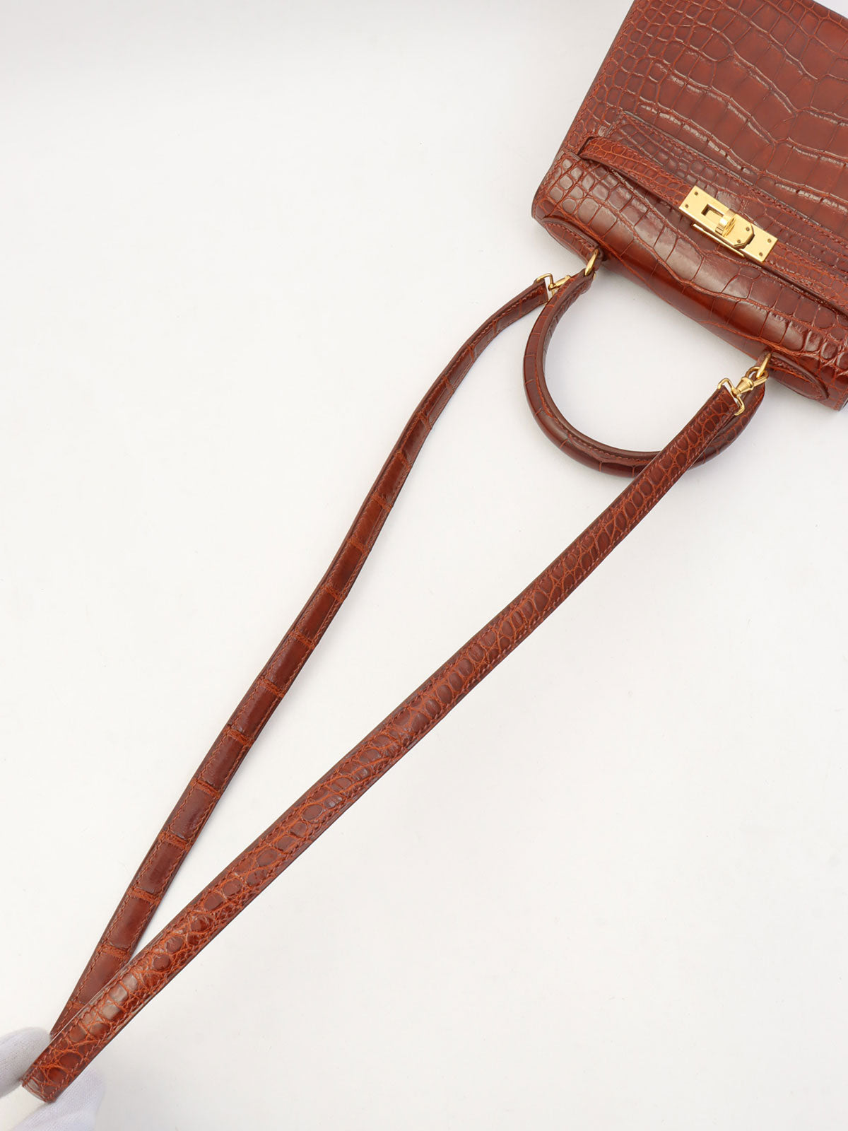 2000 鳄鱼迷你凯利餐