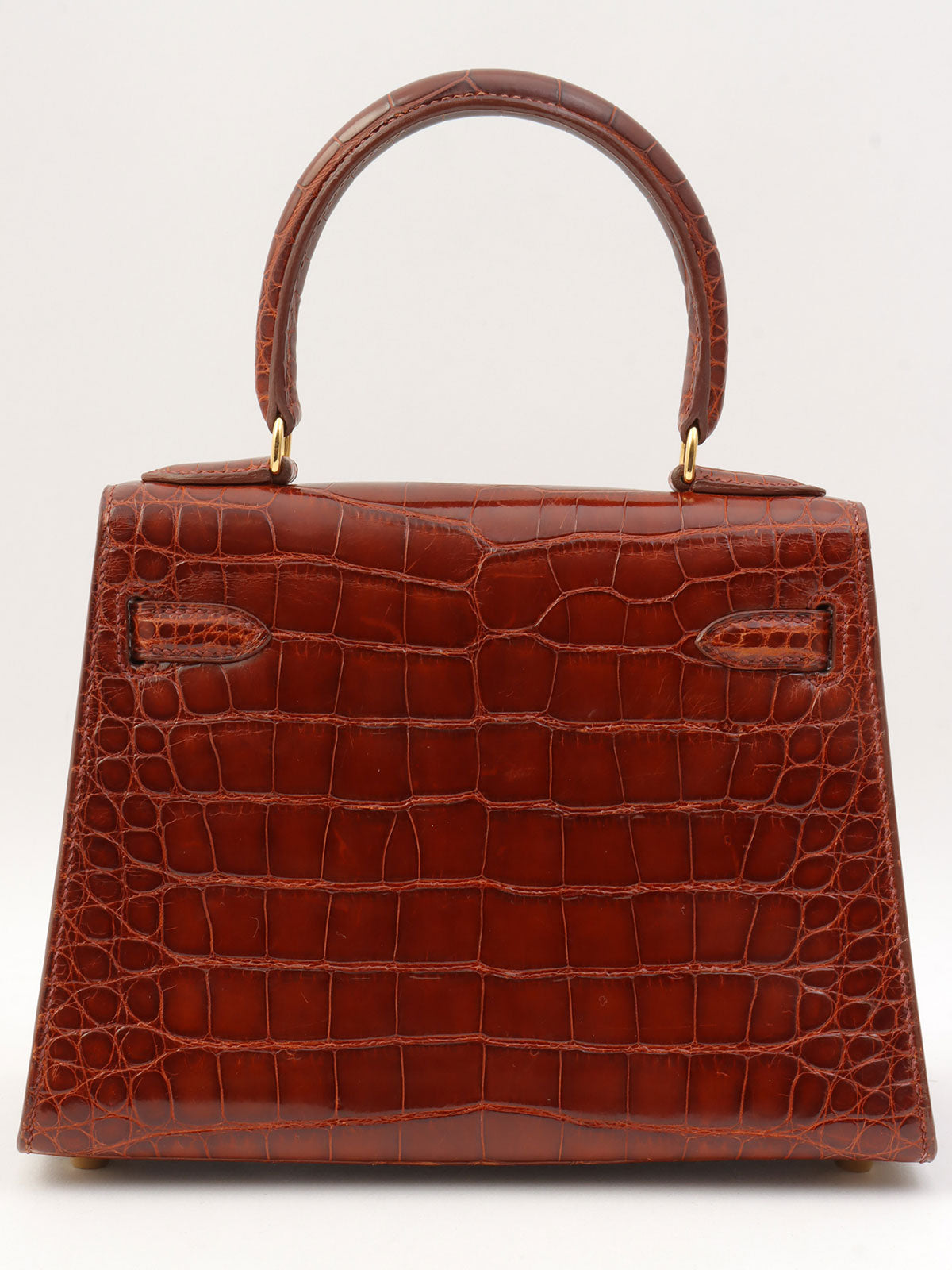 2000 鳄鱼迷你凯利餐