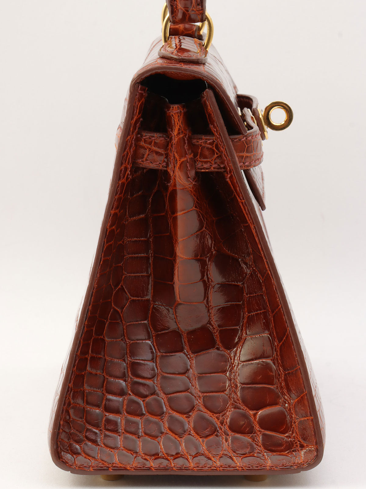 2000 鳄鱼迷你凯利餐