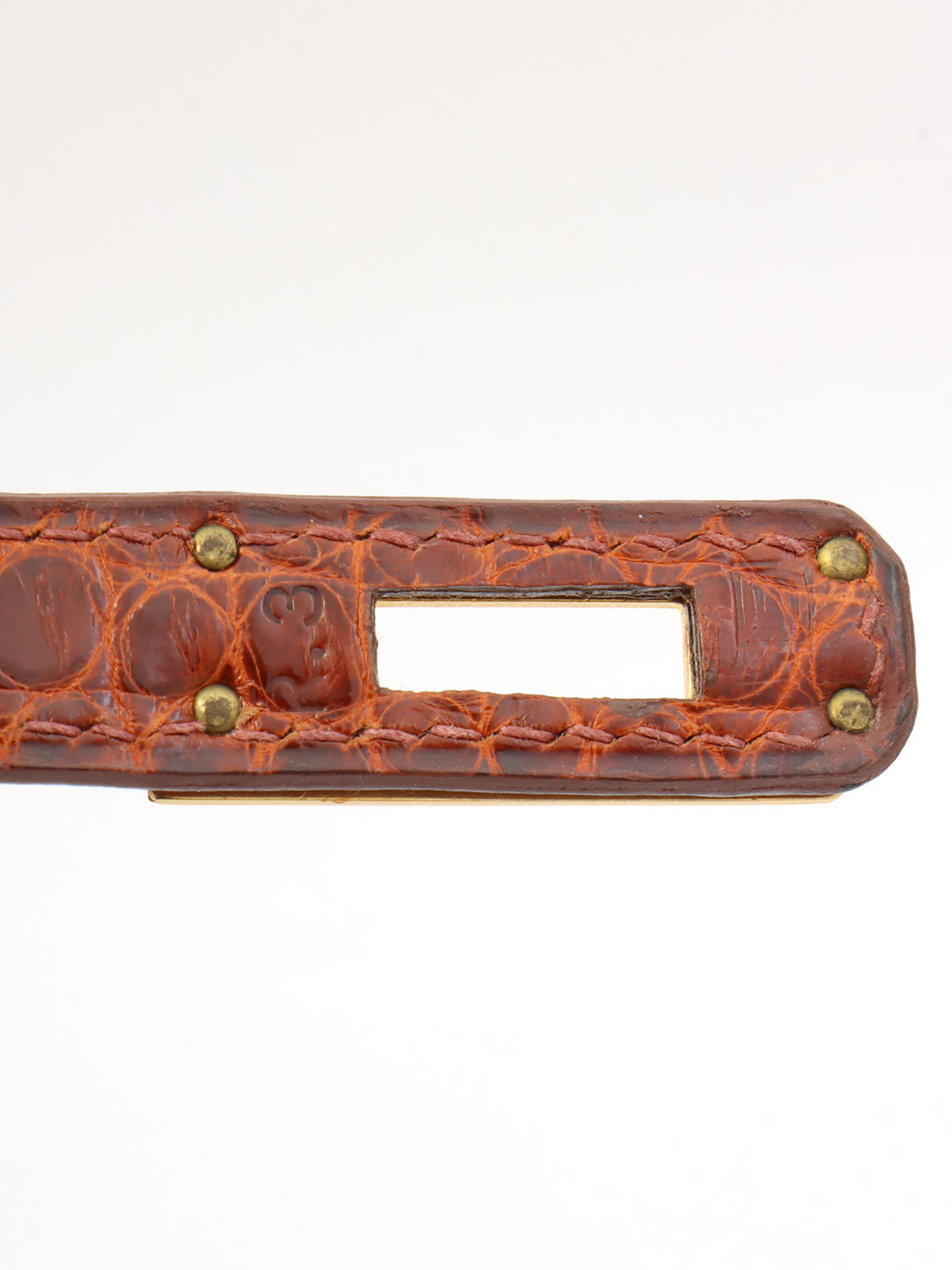 2000 鳄鱼迷你凯利餐