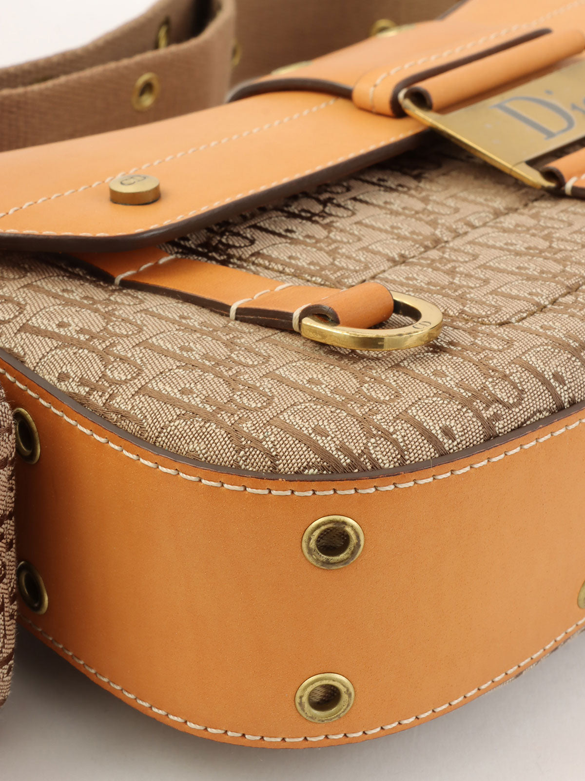 Trotter Pattern Street Chic Shoulder Bag in Beige