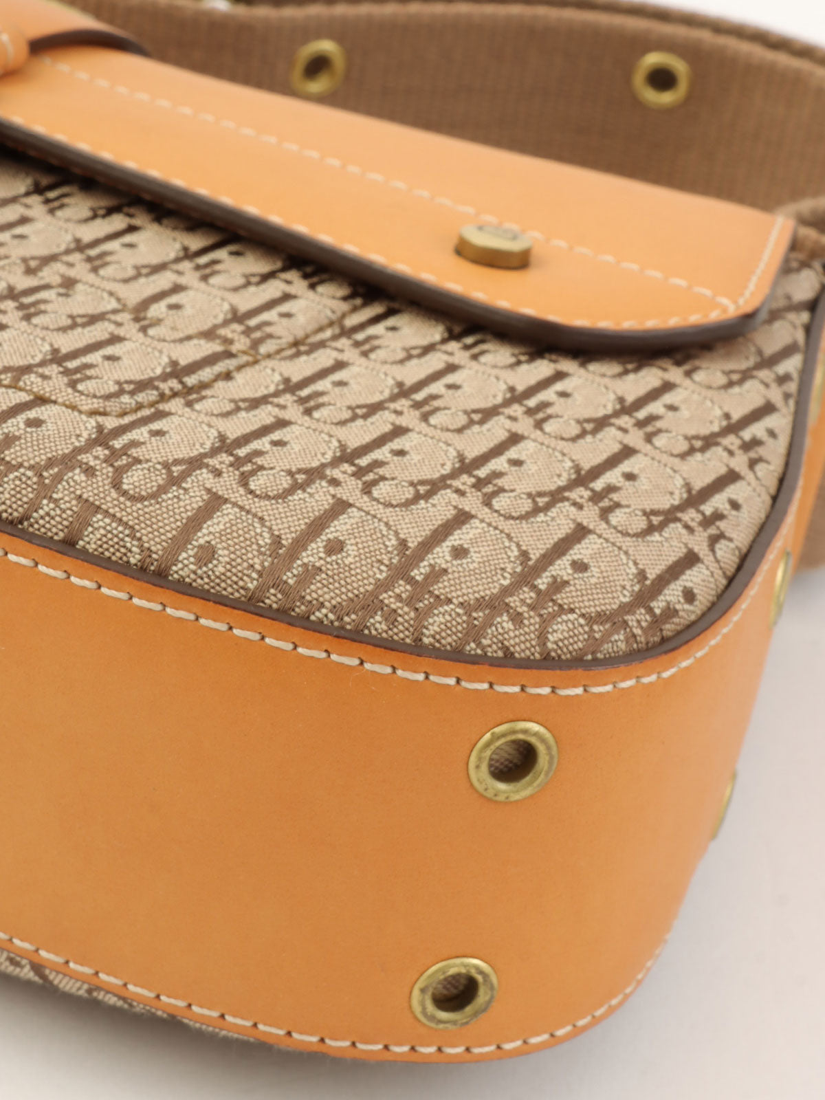 Trotter Pattern Street Chic Shoulder Bag in Beige