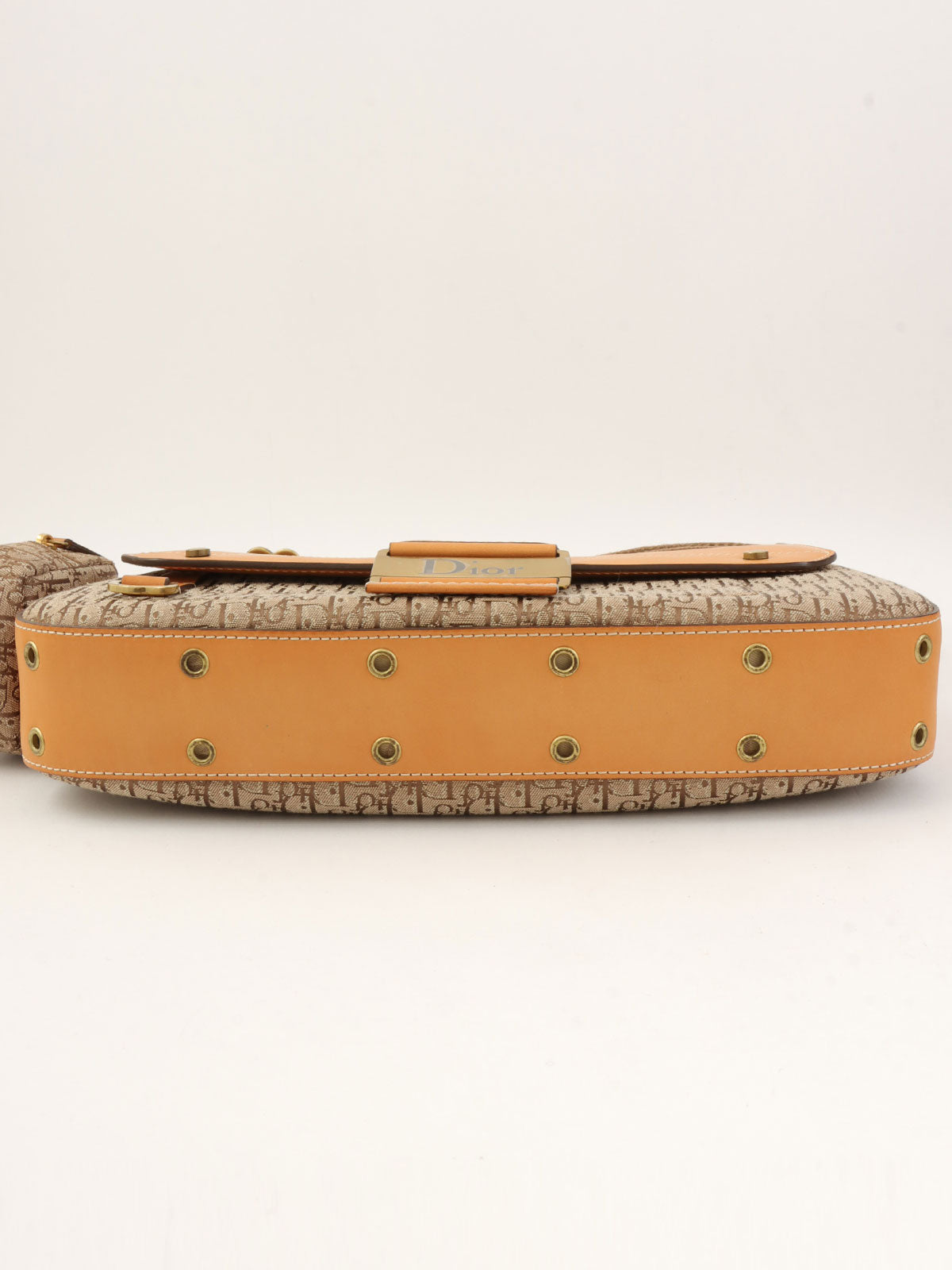 Trotter Pattern Street Chic Shoulder Bag in Beige