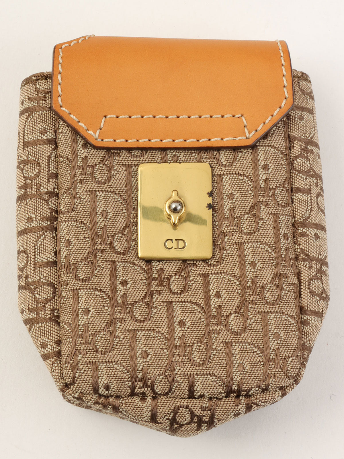 Trotter Pattern Street Chic Shoulder Bag in Beige