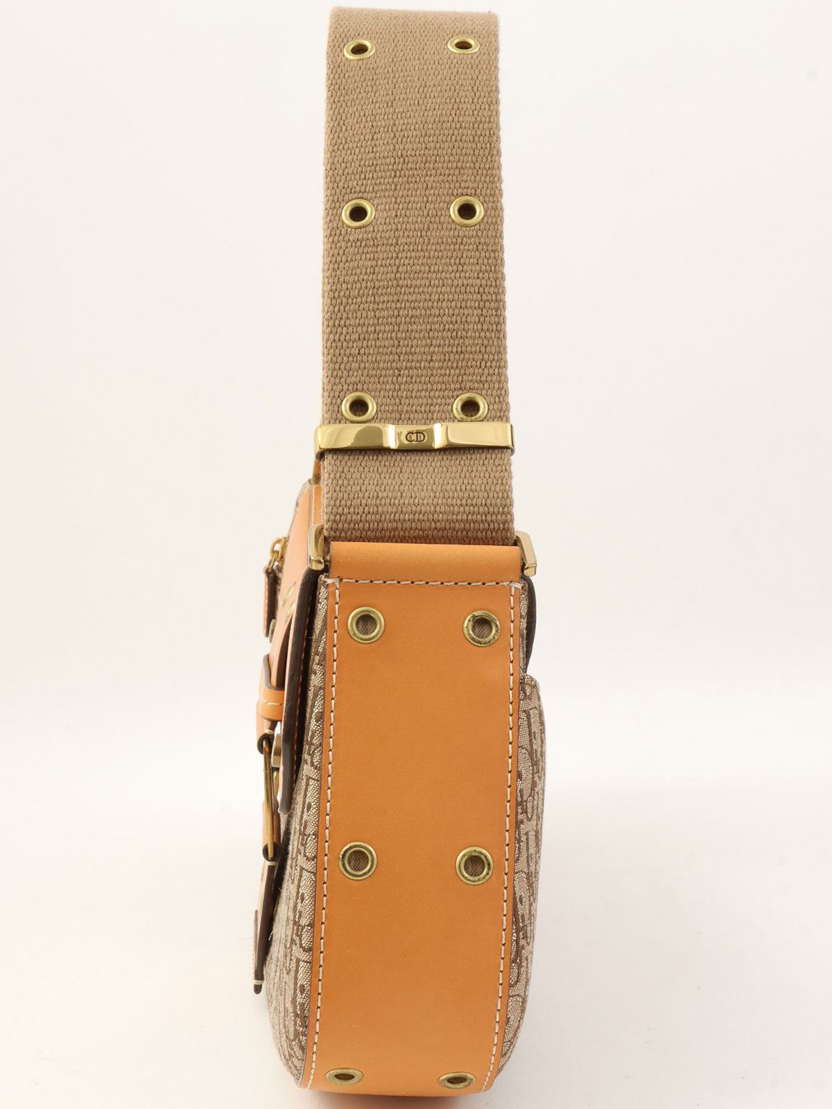 Trotter Pattern Street Chic Shoulder Bag in Beige