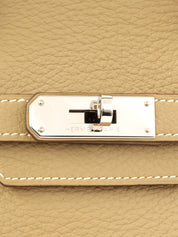 2009年製 バーキン30 カルダモン/パルシュマン