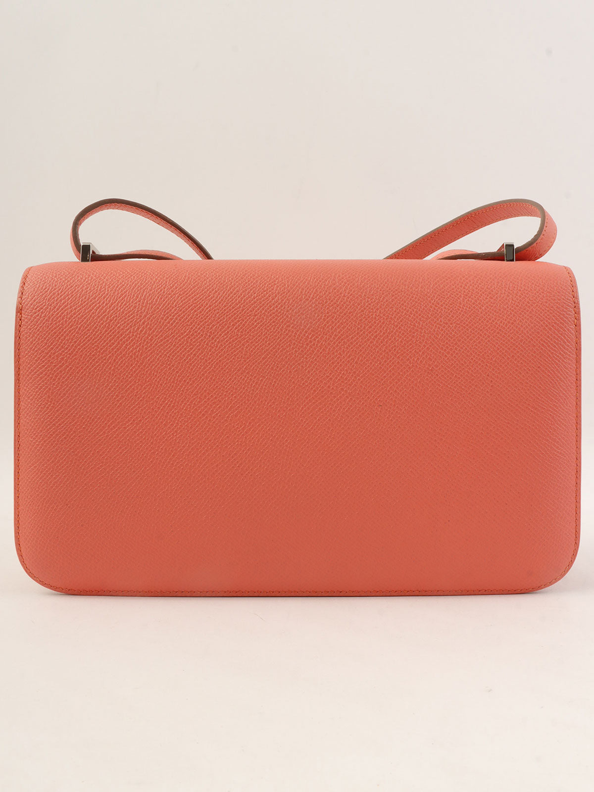 2014年康斯坦斯·埃兰火烈鸟