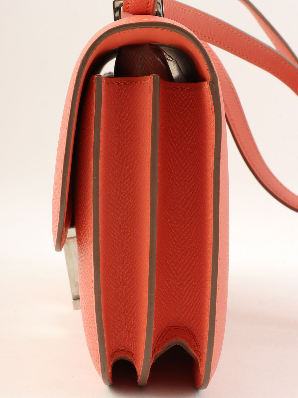 2014年康斯坦斯·埃兰火烈鸟