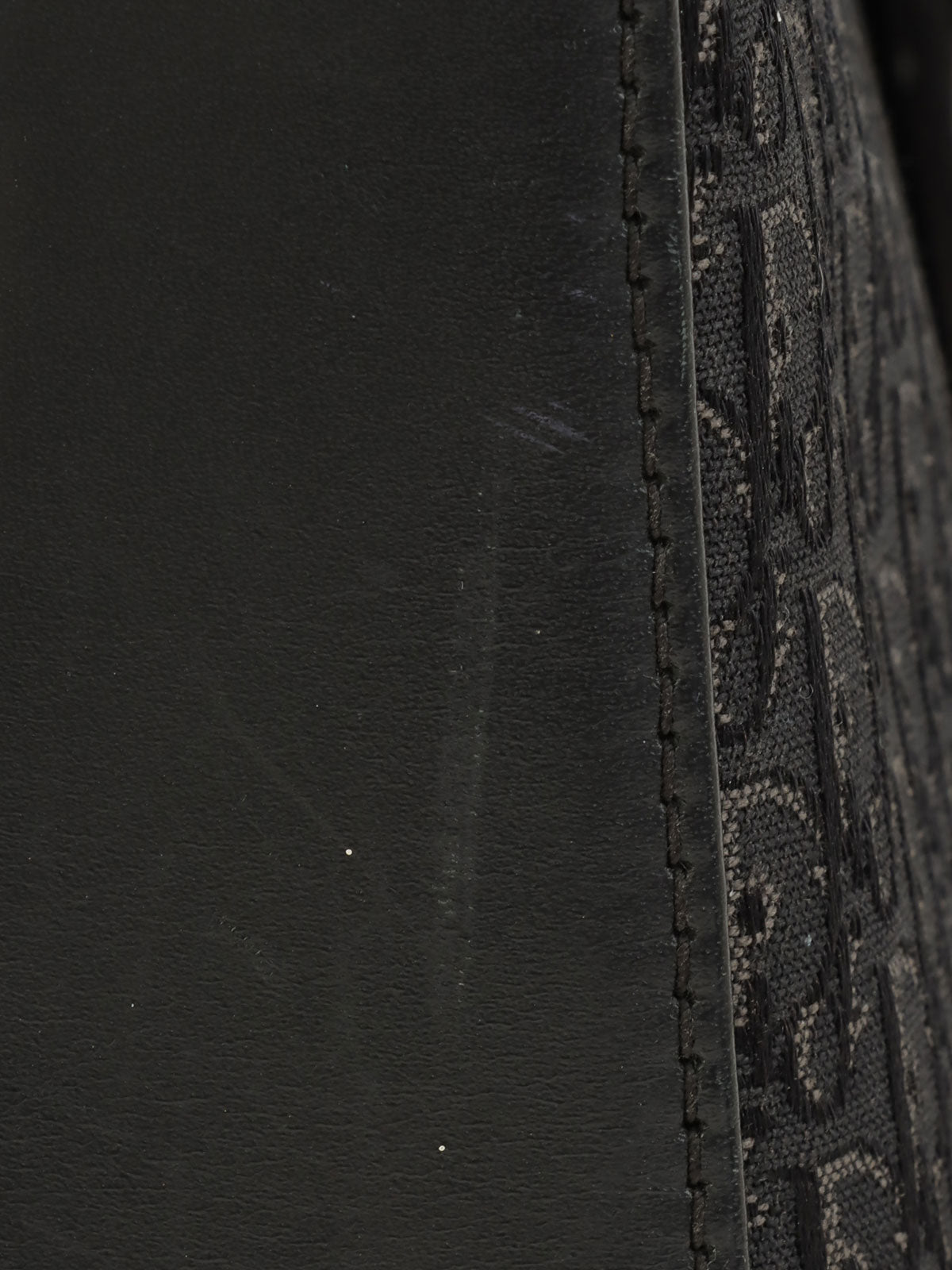 Street Chic Trotter Pattern Shoulder Bag in Black