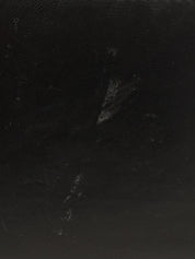 レディディオールカナージュステッチ2wayバッグM ブラック