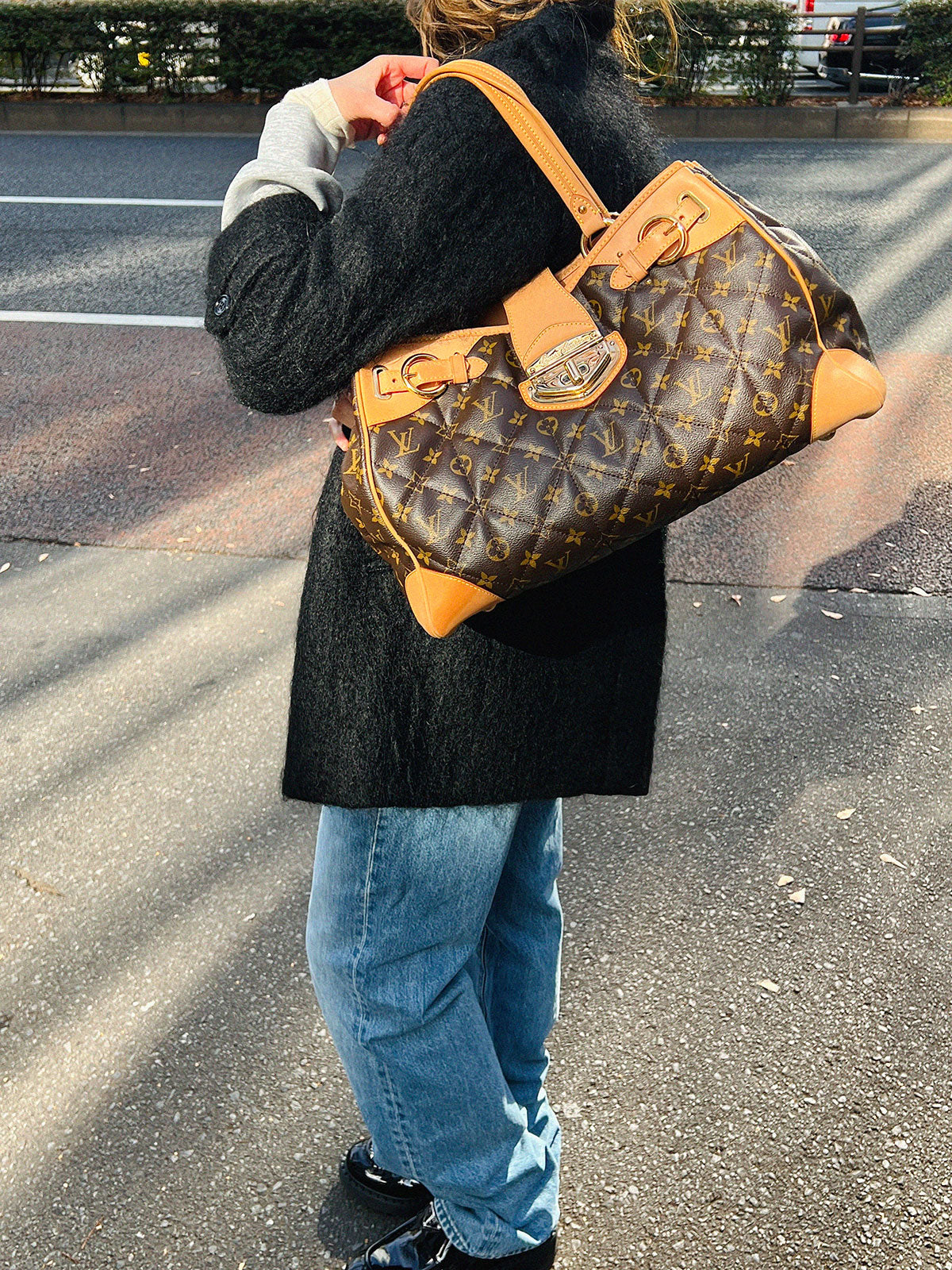 2008 Canvas Monogram Etoile Brown