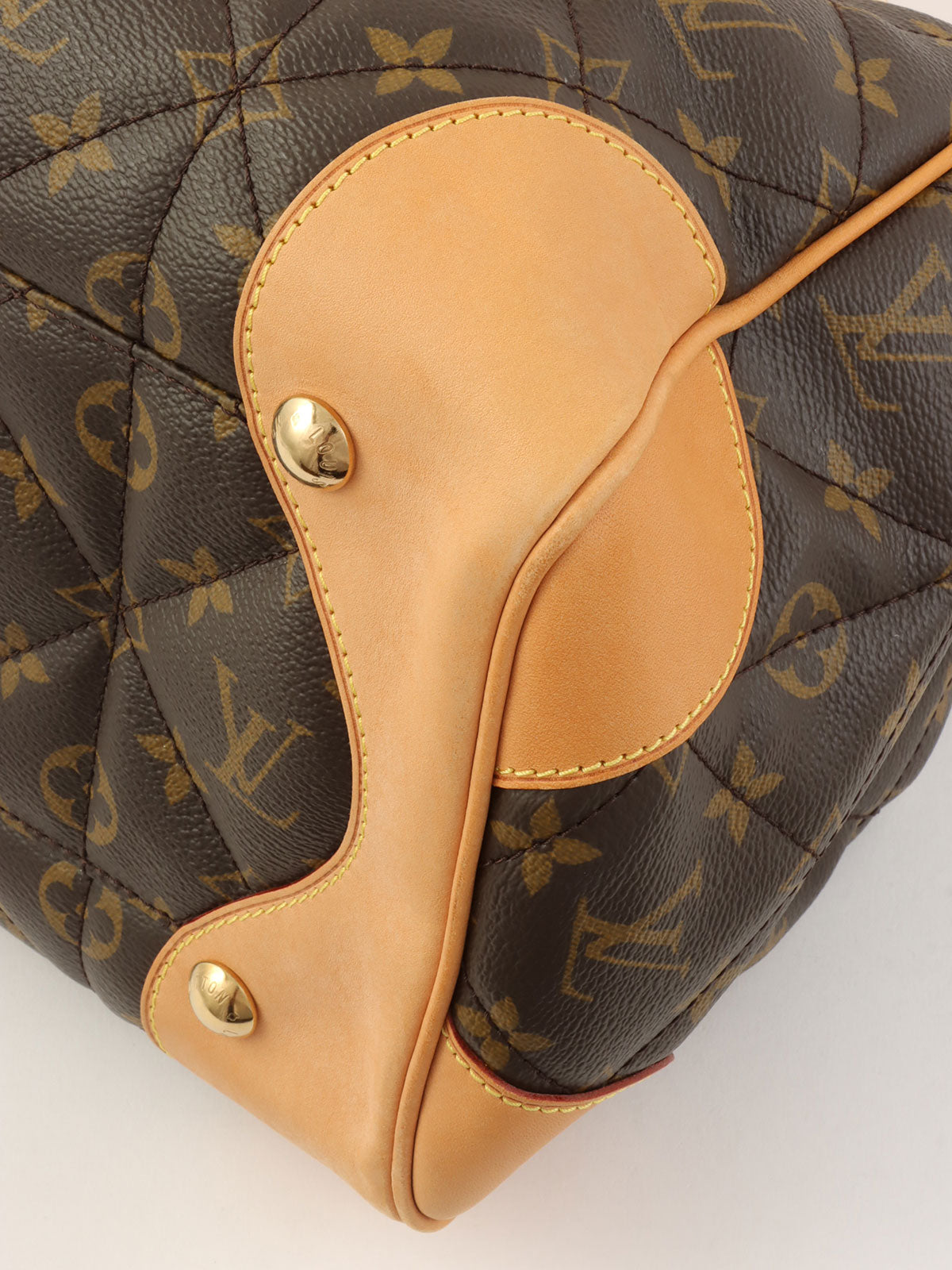 2008 Canvas Monogram Etoile Brown