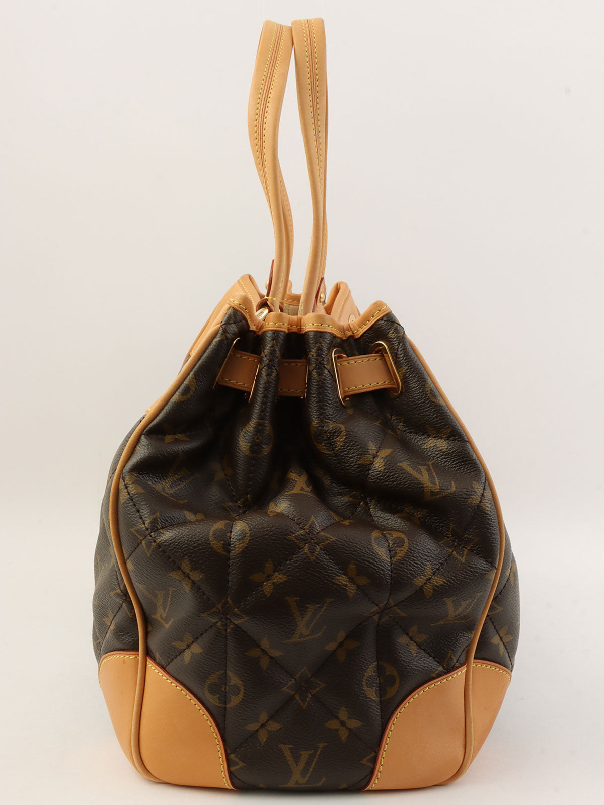 2008 Canvas Monogram Etoile Brown