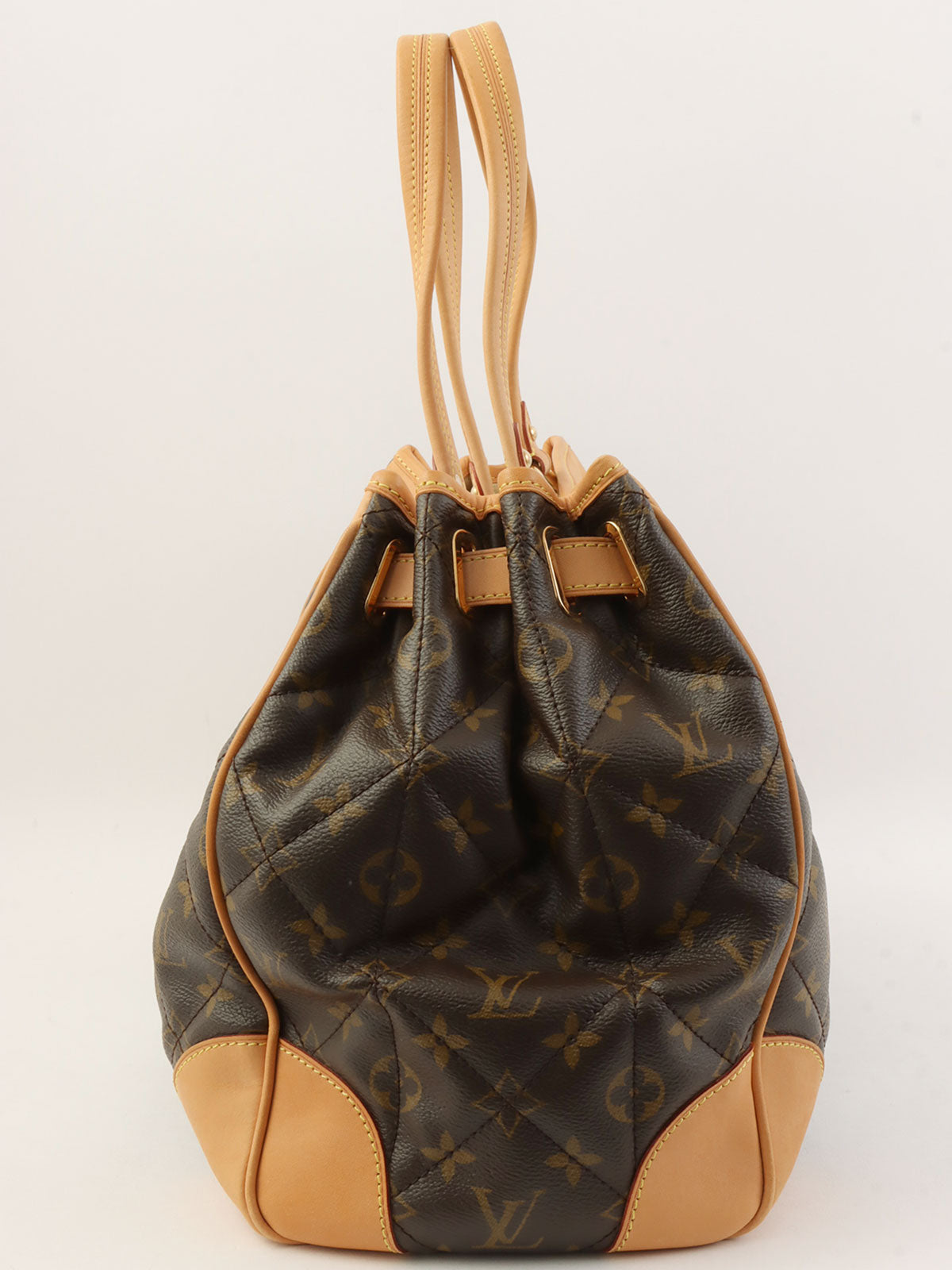 2008 Canvas Monogram Etoile Brown