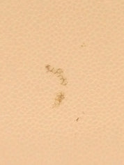 2003年頃製キャビアスキンCCマークステッチ復刻トートバッグ ベージュ