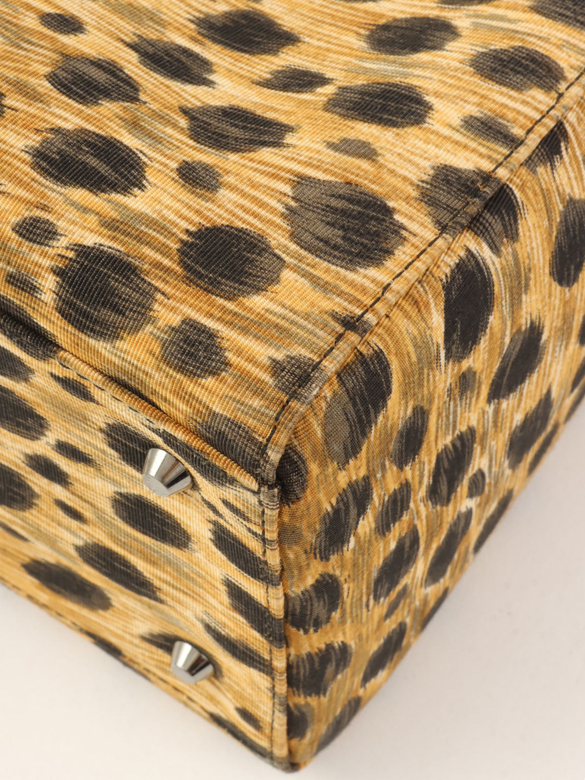 Canvas Leopard Print Lady Dior 2-Way Bag M Brown/Black/Clear