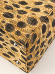 Canvas Leopard Print Lady Dior 2-Way Bag M Brown/Black/Clear