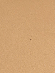 Beige Cabochon Handbag