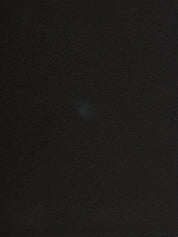 2017 Kelly 25 黑色