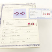 白金红宝石钻石耳钉 银/红宝石