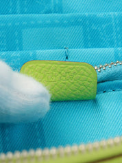 2010 Azap Long Silk In Kiwi