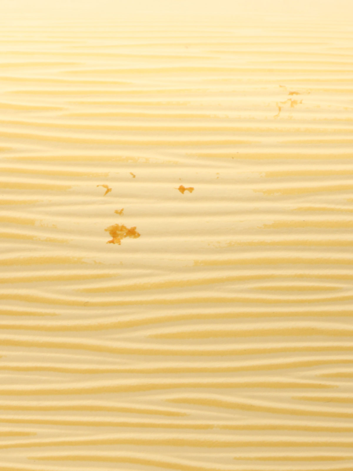 2001年製 エピスピーディー25 ベージュ