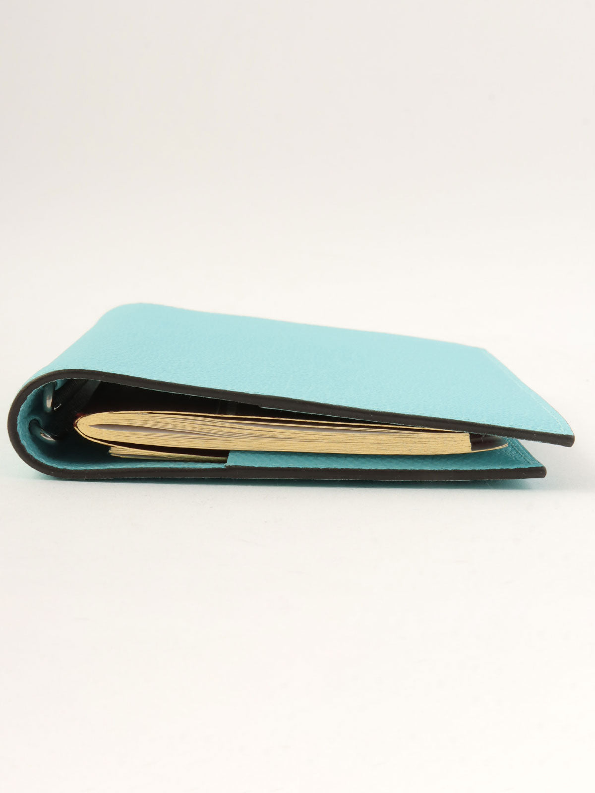 2015 Agenda GM Blue Tor