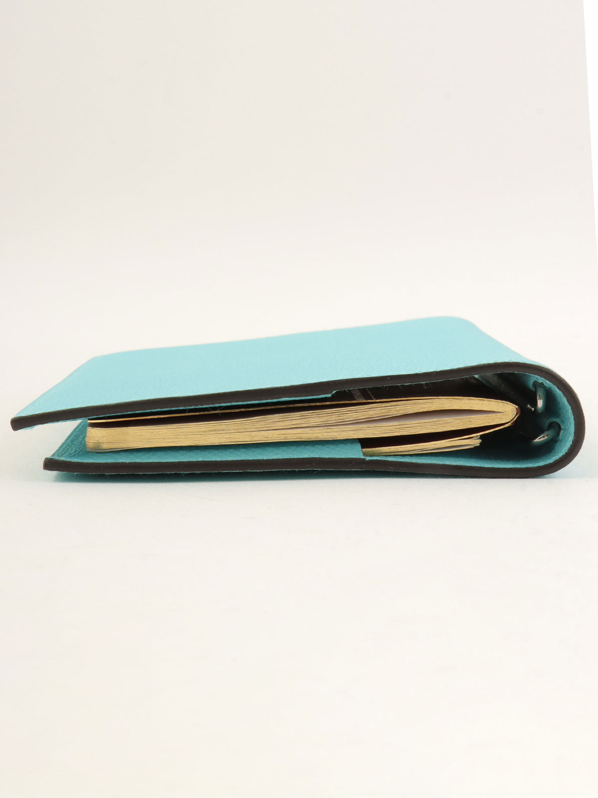 2015 Agenda GM Blue Tor