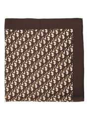 棕白色丝绸图案围巾