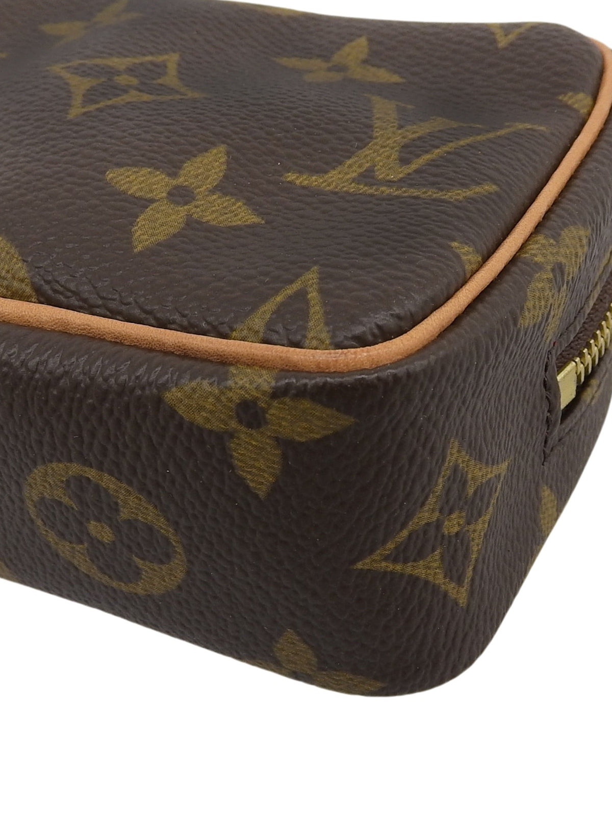 2005 Canvas Monogram Truth Wapiti Brown